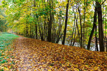 Colorful autumn Landscape in Bohemian Paradise, Czech Republic 