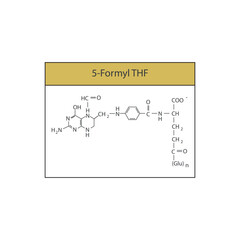 5-Formyl THF skeletal structure diagram.Vitamin B9 compound molecule scientific illustration.