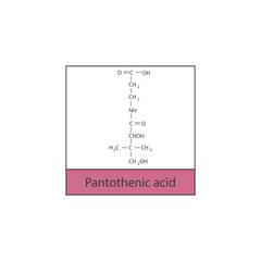 Pantothenic acid skeletal structure diagram.Vitamin B5 compound molecule scientific illustration.