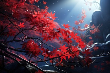 Fototapeta premium The bright red leaves of a Japanese maple in autumn