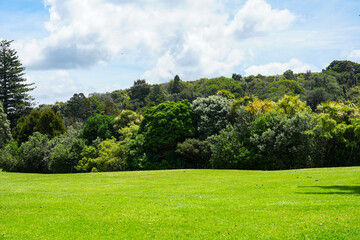 Lush Green Landscape with Rolling Hills and Vibrant Trees Under a Bright Blue Sky with Fluffy White Clouds in Natural Outdoor Setting