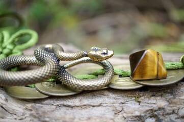 A snake statuette with Chinese coins and a pyramid.