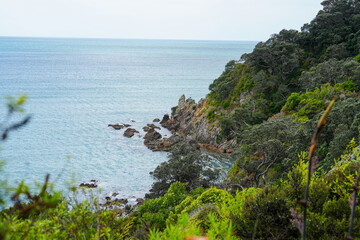 Serene Coastal Viewpoint Overlooking Rocky Shoreline and Calm Blue Waters Surrounded by Lush Green Foliage and Rugged Cliffs in a Tranquil Natural Landscape