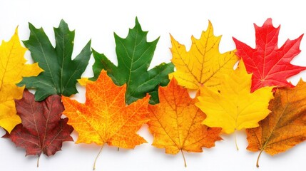 Fototapeta premium Cozy Autumn Leaves with Garland Decor