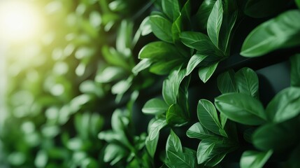 Obraz premium Dynamic arrays of vibrant foliage enriched in a modern building facade, captured with sun-drenched elegance, signifying urban nature and aesthetic modernism.