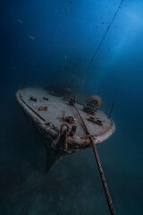 rusty metal structure of a shotgun, underwater shipwreck. Travel photography from scuba diving,...
