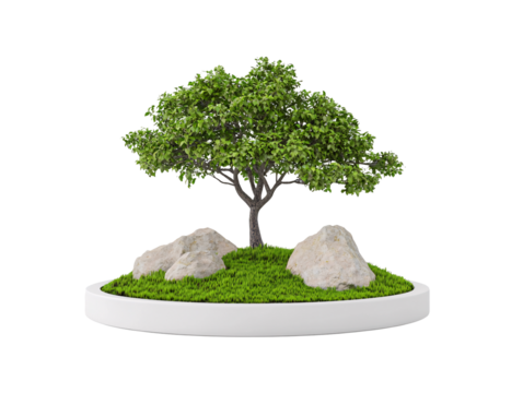 a tree and rocks in a round white pot