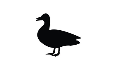 Duck Silhouette And Vector Illustration. 
