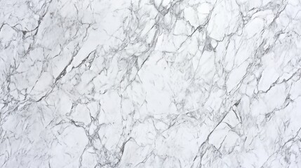 Obraz premium A close-up of exquisite white marble showcasing intricate grey veining and a polished surface.