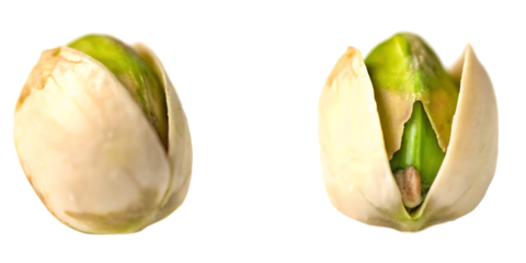 The peel of a pistachio on a white background.AI GENERATED