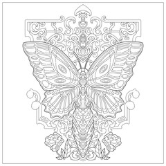 Premium vector. Beautiful butterfly art with carved ornament and decoration. Learning and education coloring page illustration for adult and children. Vector outline style, black and white drawing. 
