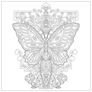 Premium vector. Beautiful butterfly art with carved ornament and decoration. Learning and education coloring page illustration for adult and children. Vector outline style, black and white drawing. 