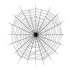 Obraz premium PNG Spider web backgrounds white background concentric.