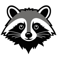 raccoon 