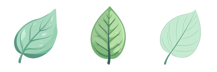 Three stylized green leaves displaying different shapes and textures, isolated on a white background, transparent background.