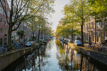 Fototapeta premium Golden leaves drift softly in the autumn breeze, reflecting on the still waters of Amsterdam iconic canals, creating a picturesque moment that captures the essence of fall in the city.