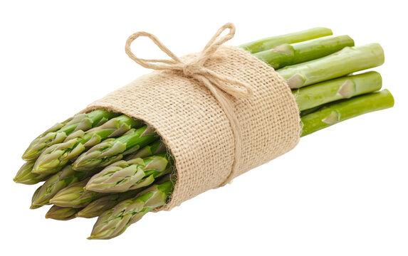 PNG object on clear backdrop. A bundle of fresh asparagus spears wrapped in burlap, ready for cooking and garnishing. Isolated on transparent background.