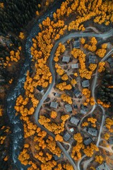 Aerial view of a winding road through an autumn-hued aspen forest in the mountains of Colorado, with small villages