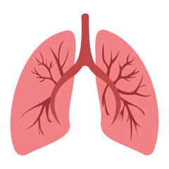 Set of human lung in a flat style vector icon illustration. Human internal organ, anatomy, body part.