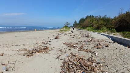 sand dunes on the beach