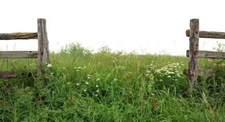 Naklejka premium PNG Nature landscape grassland outdoors.