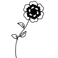 black and white flower