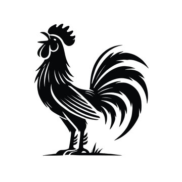 Rooster Silhouette Crowing