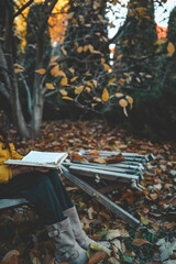 A cozy autumn scene with a person reading a book outdoors, surrounded by fallen leaves and warm seasonal hues, evoking a sense of calm and solitude