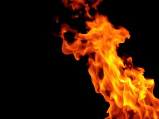 Vibrant fire flames dancing gracefully against a clean white background, fiery, flickering flames, combustion