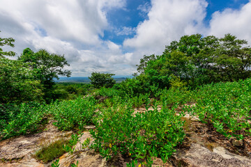 Fototapeta premium Panoramic nature background from a viewpoint on a high mountain overlooking the scenery below, river, road, rocks, trees, the beauty of nature during a trip in Khon Kaen, Thailand.