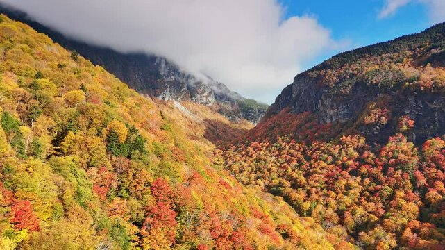 Aerial view from flight over a mountain pass with hillsides covered in a forest of trees with a display of vibrant fall foliage colors under warm sunshine. UHD 4K