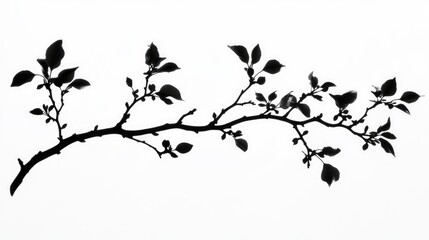 Fototapeta premium A simple black and white photograph of a tree branch's silhouette against a gray background