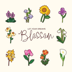 Different types of flowers, each with unique shapes and colors, including sunflowers, lilies, and violets. The background is a light, neutral shade, allowing the colorful flowers to stand out.