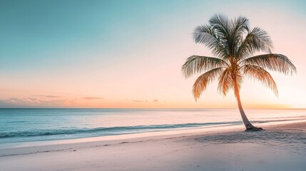 Beautiful view of serene tropical beach and palm tree with copy space