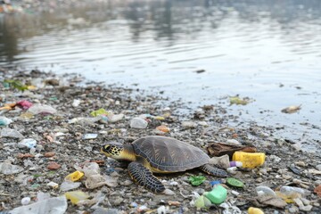 Ocean filled with floating plastic debris