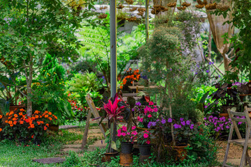 Obraz premium Green nature landscape background of rice fields, fresh air and various trees of mountains surrounding. The way of life of the farmers community who grow crops for their living.