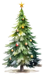 Fototapeta premium PNG Christmas tree christmas tradition plant.