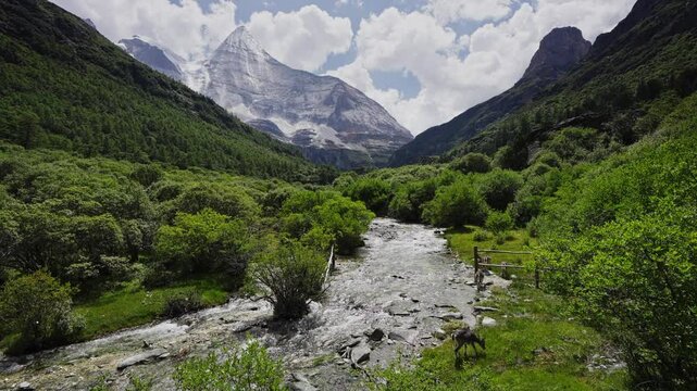 Daocheng Yading in The Hengduan Mountains