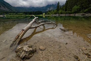 lake in the morning -  Italy - Lago di Fusine. © Tomasz