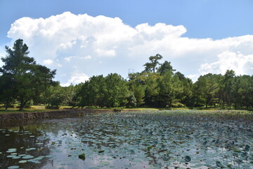 Lake at Minh Mang Tomb Hu&eacute;