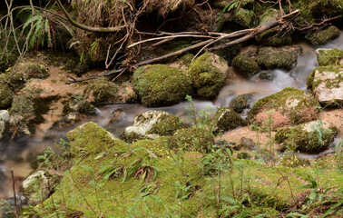 Small stream on a mountain with water motion blur, moss and natural nature environment