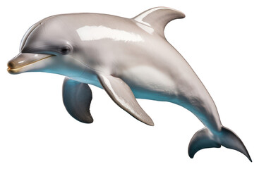 PNG A baby dolphin animal mammal fish. © Rawpixel.com