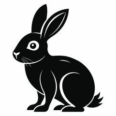 illustration of a bunny