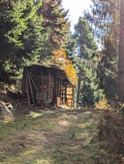 shed in the woods