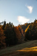 autumn in the mountains