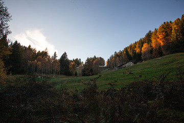 autumn landscape in the mountains