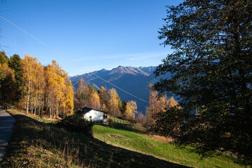 autumn landscape in the mountains
