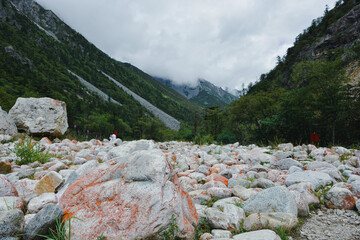 Reddish rocks in the woods of a valley