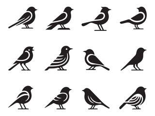 Set of bird vector illustration