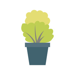 Green leaves plant in pot in flat design. Environmental greenery and gardening. Vector illustration isolated.